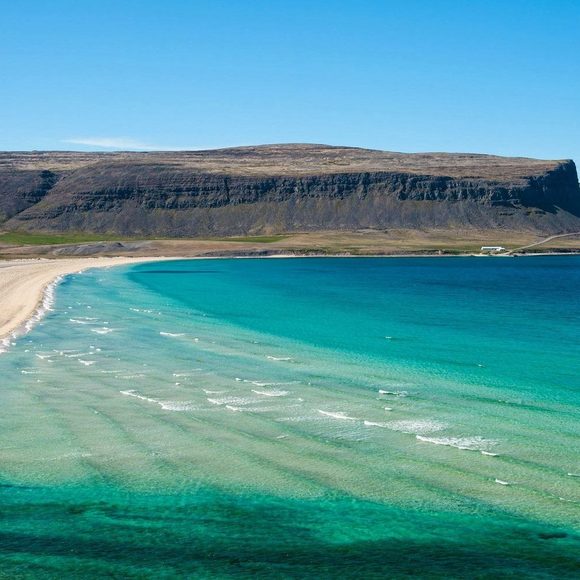 Meet your Posher, Rene - Picture 1 of 1